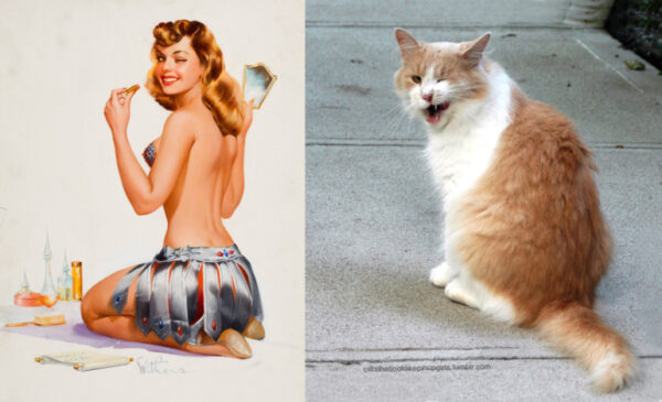 Теперь все понятно, с кого рисовал свои картинки pin-up Джил Элвгрен (много-много росКОШных фото)