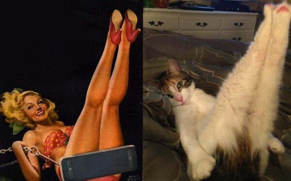 Теперь все понятно, с кого рисовал свои картинки pin-up Джил Элвгрен (много-много росКОШных фото)