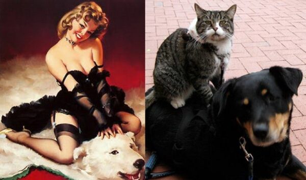 Теперь все понятно, с кого рисовал свои картинки pin-up Джил Элвгрен (много-много росКОШных фото)