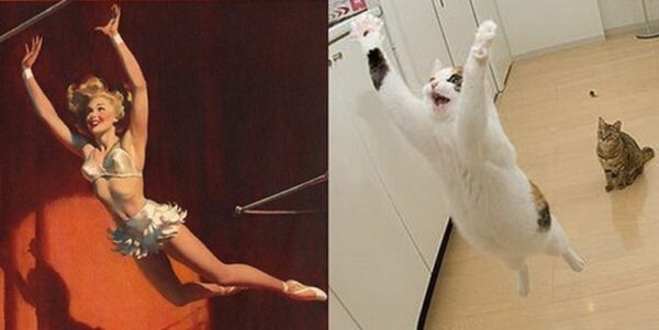 Теперь все понятно, с кого рисовал свои картинки pin-up Джил Элвгрен (много-много росКОШных фото)