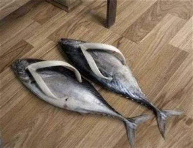 ÐевеÑоÑÑна и Ð½ÐµÐ¾Ð¶Ð¸Ð´Ð°Ð½Ð½Ð°Ñ Ð¾Ð±ÑвÑ