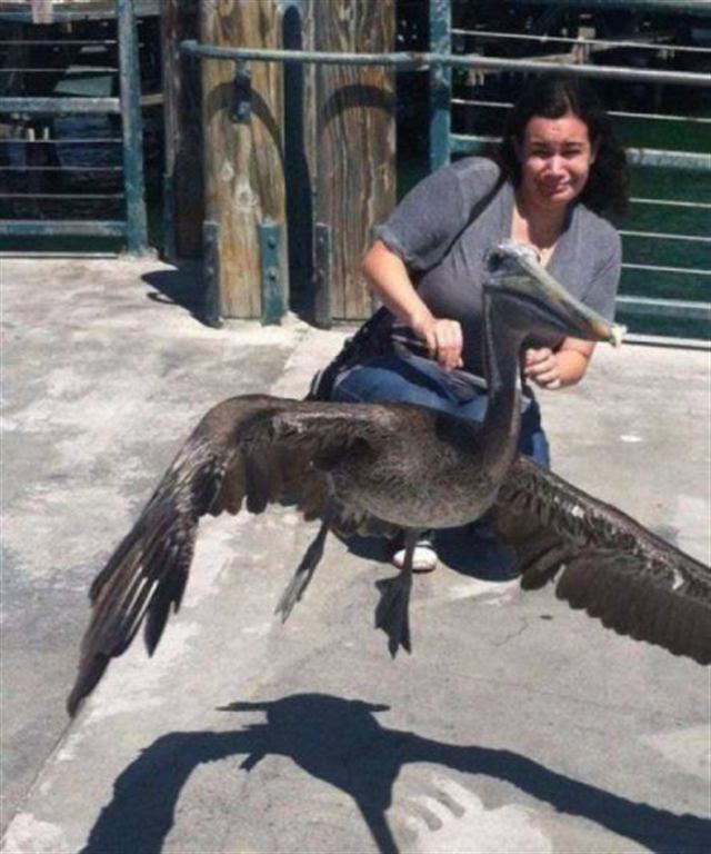 Ð¤Ð¾ÑÐ¾, Ðº ÐºÐ¾ÑÐ¾ÑÑÐ¼ Ð½ÑÐ¶Ð½Ð¾ Ð¿ÑÐ¸ÑÐ¼Ð¾ÑÑÐµÑÑÑÑ Ð´Ð²Ð°Ð¶Ð´Ñ, ÑÑÐ¾ Ð±Ñ Ð½Ðµ Ð±ÑÑÑ Ð¾Ð±Ð¼Ð°Ð½ÑÑÑÐ¼ ÑÐ¾Ð±ÑÑÐ²ÐµÐ½Ð½ÑÐ¼Ð¸ Ð³Ð»Ð°Ð·Ð°Ð¼Ð¸