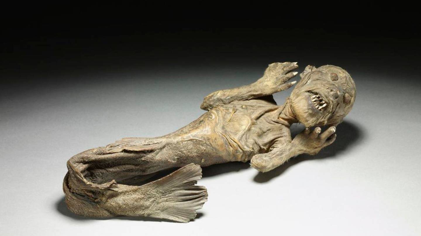 "изображение"