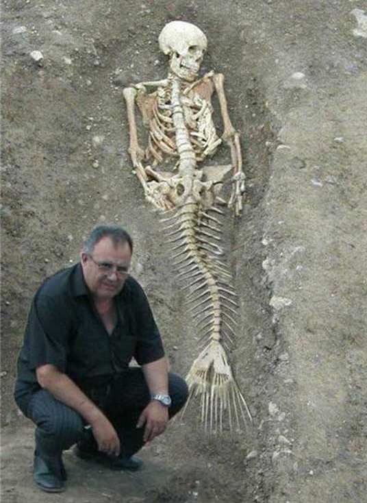 "изображение"