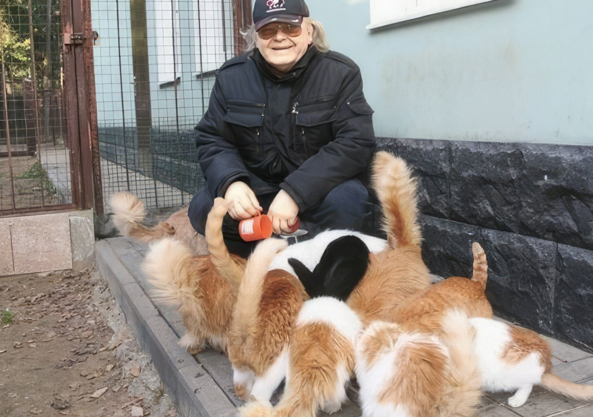 Юрий Антонов кормит кошек